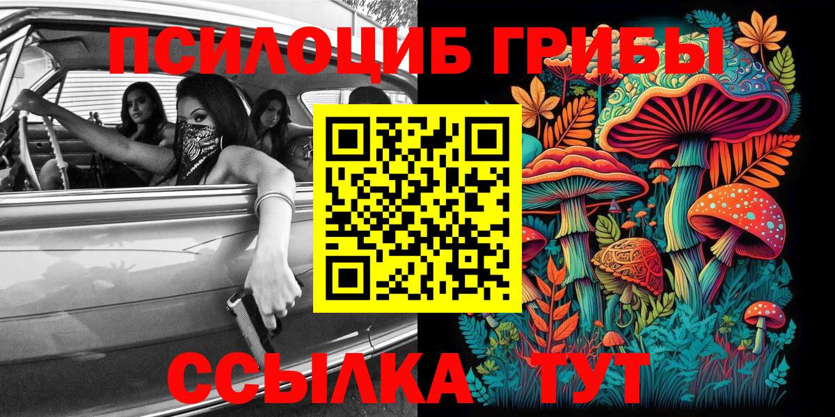 Псилоцибиновые грибы прущие грибы  Псилоцибиновые грибы Cubensis  Долгопрудный  Вход с VPN 